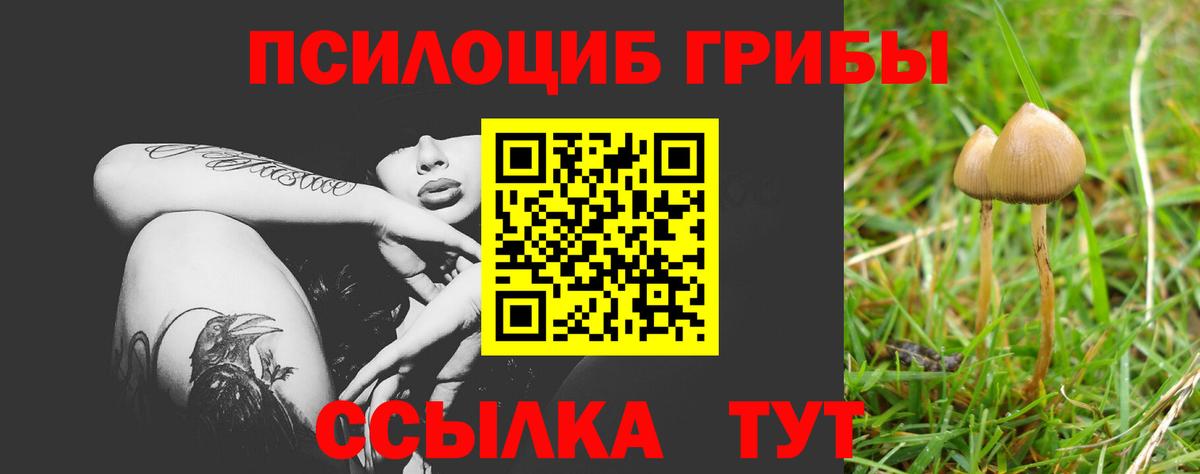 Галлюциногенные грибы ЛСД Армавир
